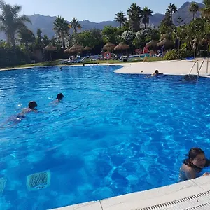 check availability